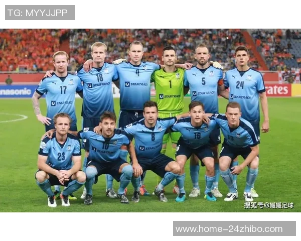 纽卡斯尔足球俱乐部的辉煌历程与未来展望解析 纽卡斯尔足球俱乐部的辉煌历程与未来展望解析